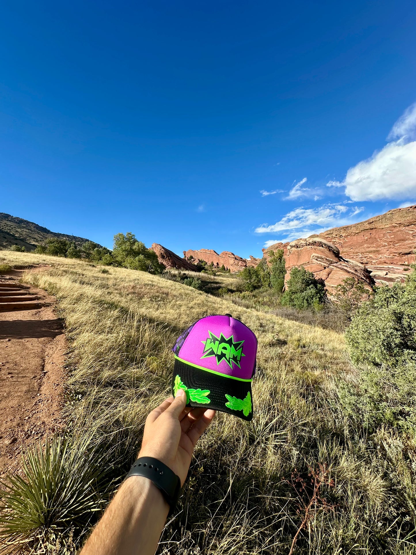 Purple WAM Hat + Green Logo